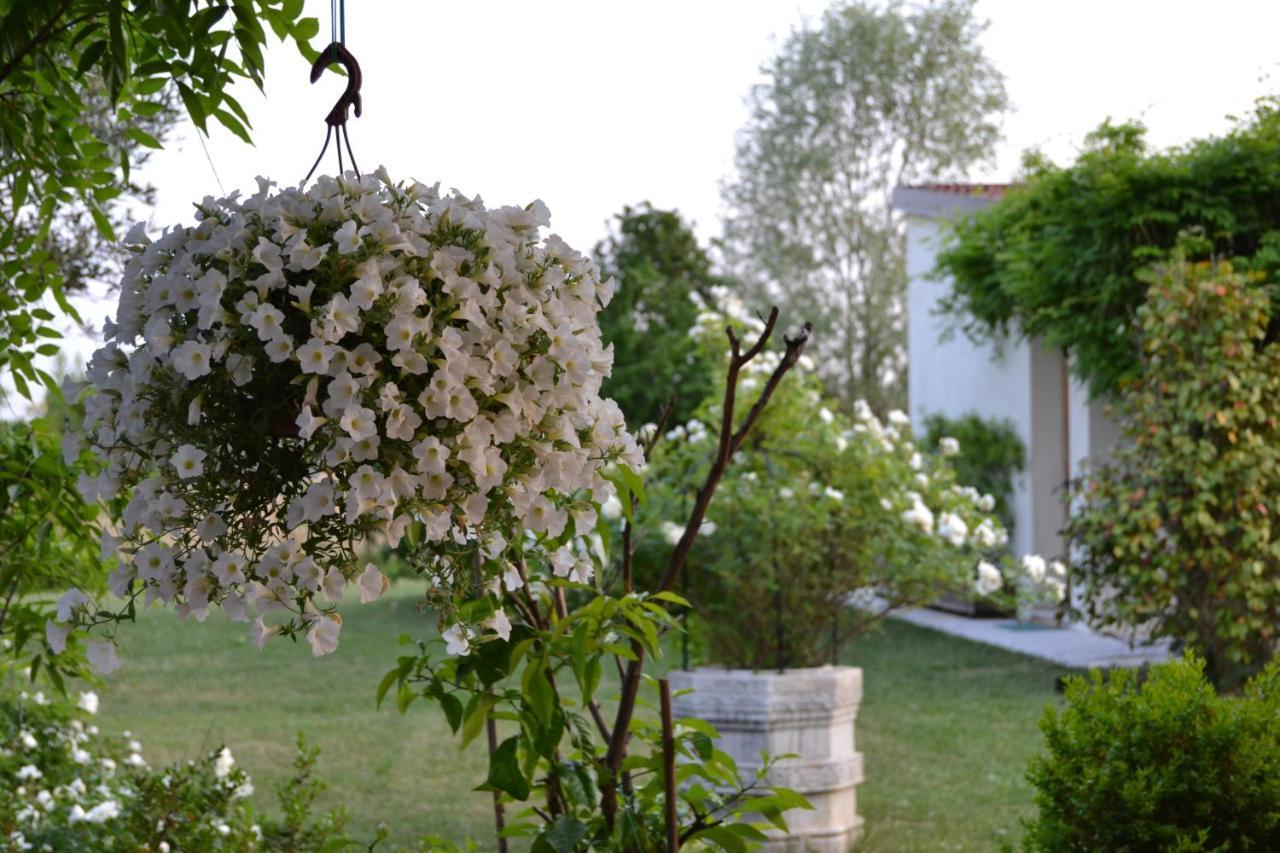 Two Elegant Depandance Villa Conscio Exteriör bild